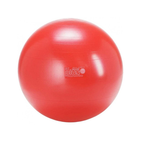Gymnastický míč Gymnic Plus 55 cm