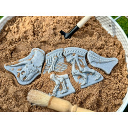 Dinosauři - kostry TRICERATOPS A SPINOSAURUS