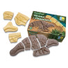 Dinosauři - kostry sada