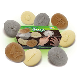 Pojďme objevovat - hmyz