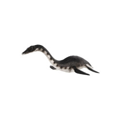 Plesiosaur 23cm