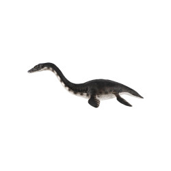 Plesiosaur 23cm