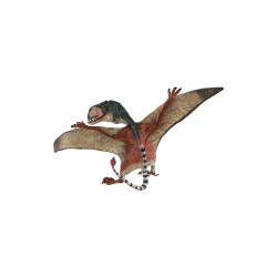 Pteropterus 15cm