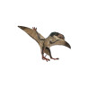 Pteropterus 15cm