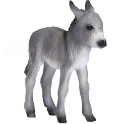 Osel mládě