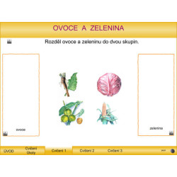 Ovoce a zelenina - výukový program