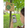 Přenosná stezka - Naše dřeviny