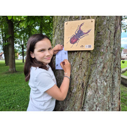 Přenosná stezka - Naše louka