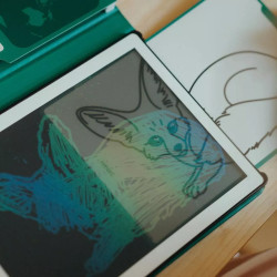 Doplňkové karty Kidywolf Refill Kidydraw Mini - Zvířata z celého světa, oceány a piráti